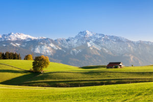 Voralpenlandschaft mit Hütte und Baum im Herbst, bei Füssen, Ostallgäu, Oberbayern, Deutschland Voralpenlandschaft mit Hütte und Baum im Herbst, bei Füssen, Ostallgäu, Oberbayern, Deutschland